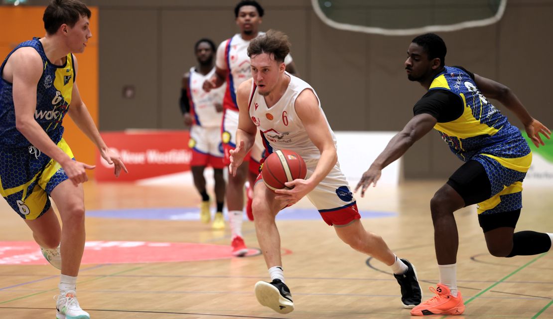 Elephants eine Nummer zu groß