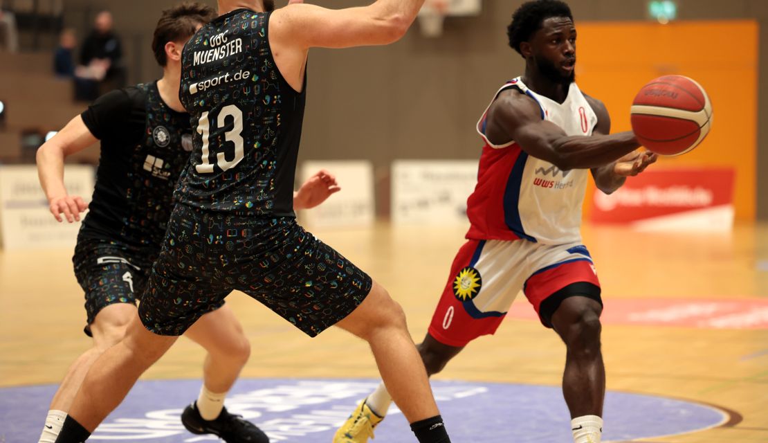 Ein gutes Pferd Springt nicht höher als es muss